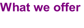 What we offer